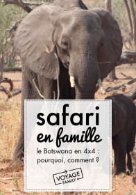elephant safari en famille botswana